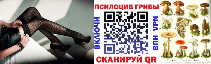 Купить закладки  Рудня  Псилоцибиновые грибы прущие грибы 